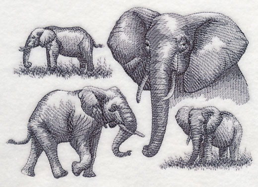 Elephant Sketch