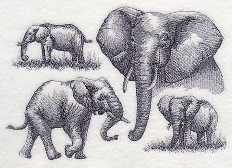 Elephant Sketch