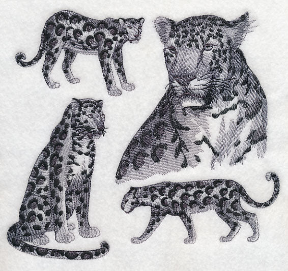 Leopard Sketch