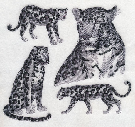 Leopard Sketch