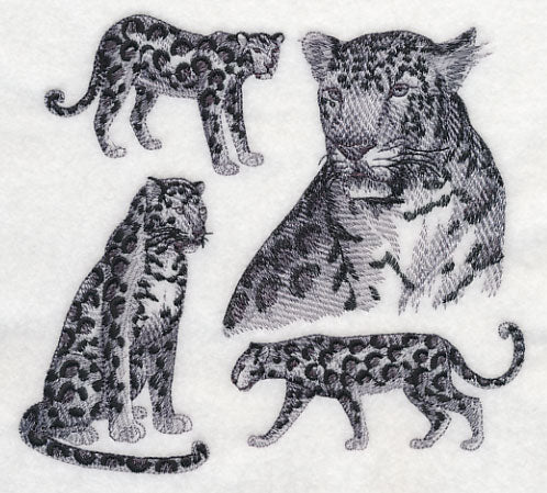 Leopard Sketch