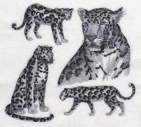Leopard Sketch