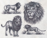 African Lion Sketch