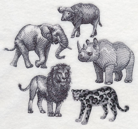 African Animals Sketch