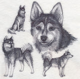 Klee Kai Sketch