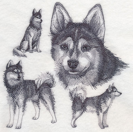 Klee Kai Sketch