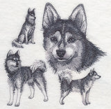 Klee Kai Sketch