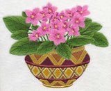 African Violets 1