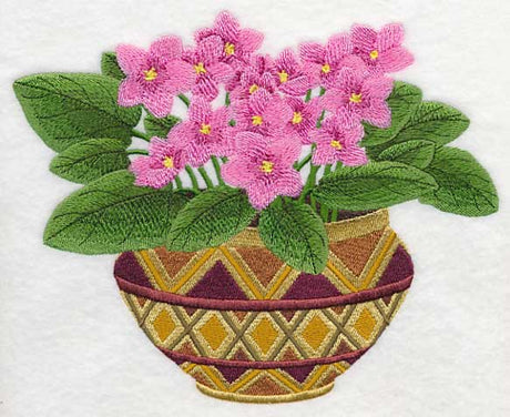 African Violets 1