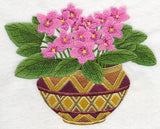 African Violets 1
