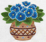 African Violets 3