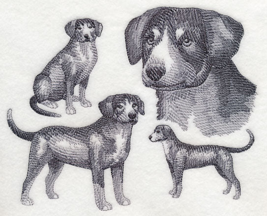 Entlebucher Mountain Dog Sketch (Full Tail)