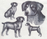 Entlebucher Mountain Dog Sketch (Docked Tail)