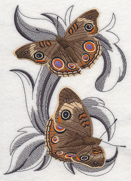 Common Buckeye Butterflies with Baroque Background