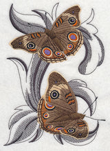 Common Buckeye Butterflies with Baroque Background