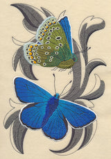 Common Blue Butterflies with Baroque Background