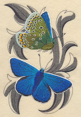 Common Blue Butterflies with Baroque Background