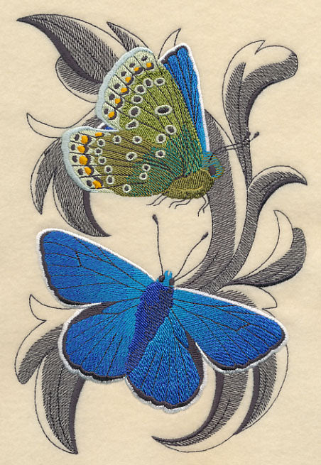 Common Blue Butterflies with Baroque Background
