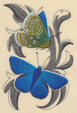 Common Blue Butterflies with Baroque Background