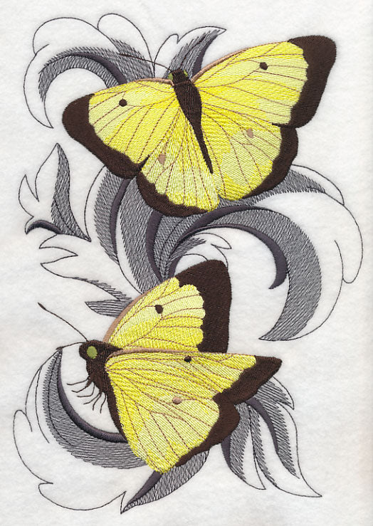Clouded Sulfur Butterflies with Baroque Background