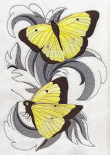 Clouded Sulfur Butterflies with Baroque Background