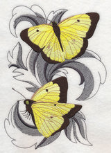 Clouded Sulfur Butterflies with Baroque Background