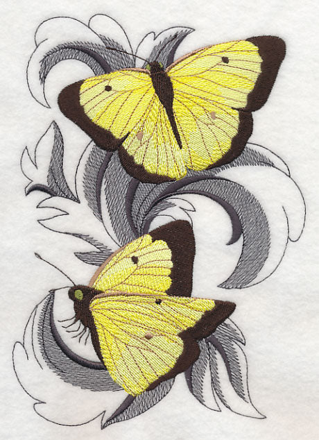 Clouded Sulfur Butterflies with Baroque Background