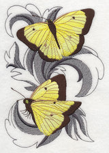 Clouded Sulfur Butterflies with Baroque Background