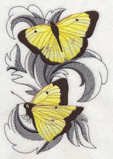 Clouded Sulfur Butterflies with Baroque Background
