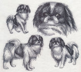 Japanese Chin Sketch
