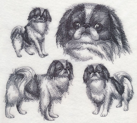 Japanese Chin Sketch