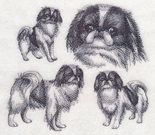 Japanese Chin Sketch