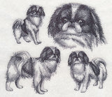 Japanese Chin Sketch