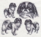 Japanese Chin Sketch
