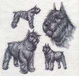 Bouvier de Flanders Sketch (Docked Tail and Cropped Ears)