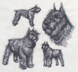 Bouvier de Flanders Sketch (Docked Tail and Cropped Ears)