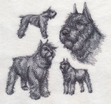 Bouvier de Flanders Sketch (Docked Tail and Cropped Ears)