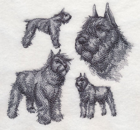 Bouvier de Flanders Sketch (Docked Tail and Cropped Ears)