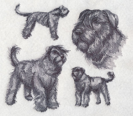 Bouvier de Flanders Sketch (Full Tail and Ears)