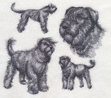 Bouvier de Flanders Sketch (Full Tail and Ears)