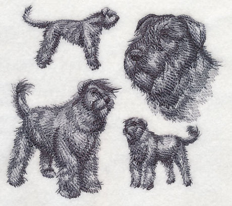 Bouvier de Flanders Sketch (Full Tail and Ears)