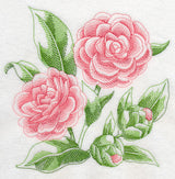 Camellia Sketch