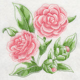 Camellia Sketch