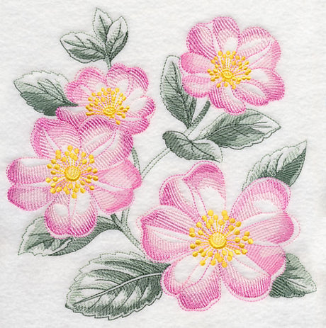 Dog Roses Sketch
