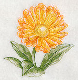 Calendula Beauty