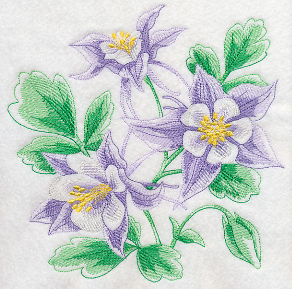 Columbine Sketch