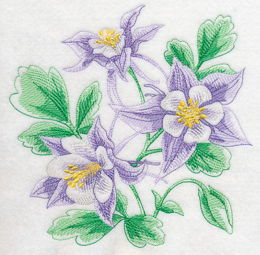 Columbine Sketch