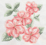 Impatiens Sketch