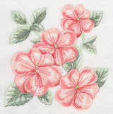Impatiens Sketch