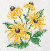 Black-Eyed Susan Sketch
